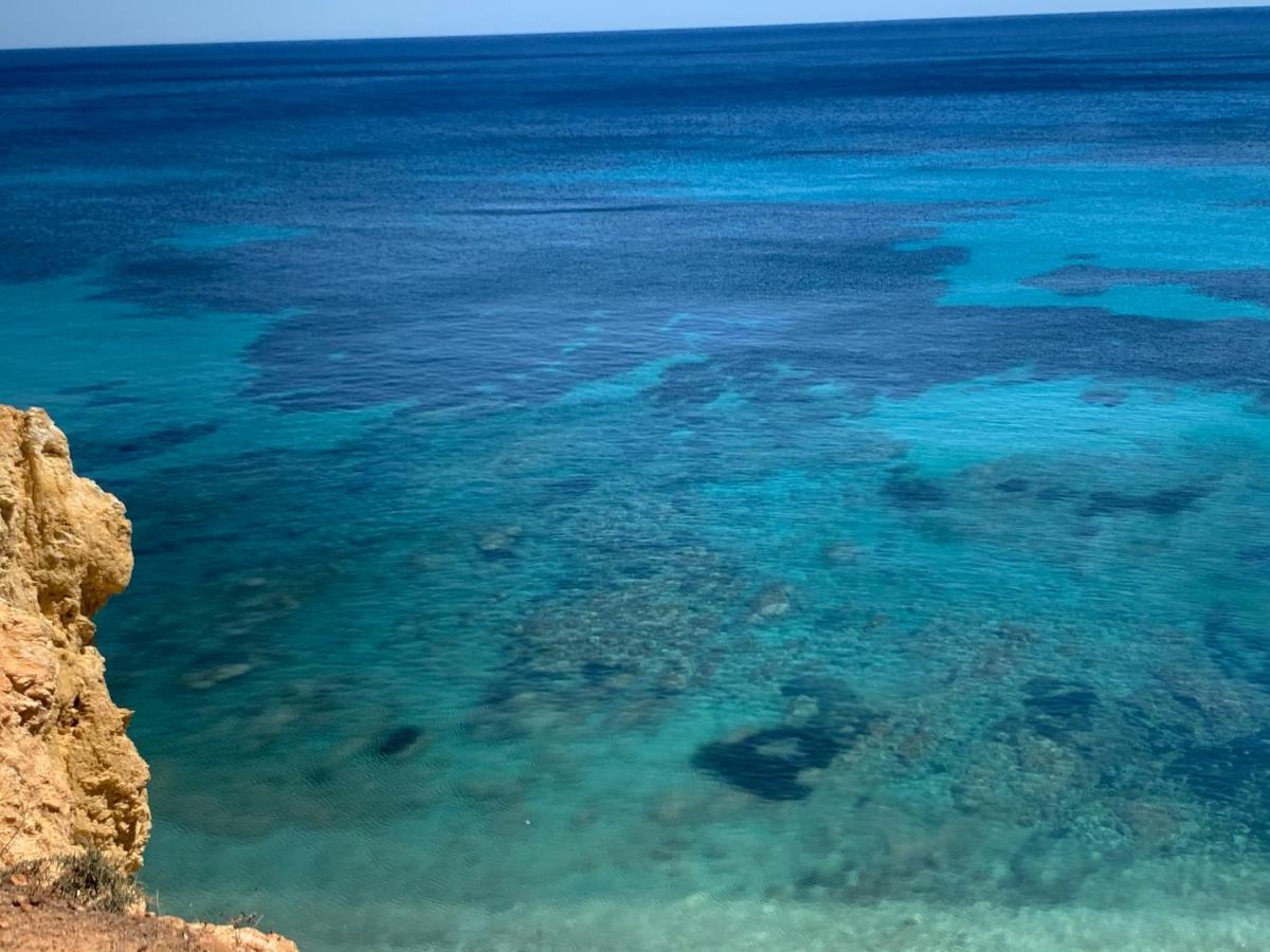 Bed and Breakfast Ibiza Paradise Санта-Эулалия-дель-Рио Экстерьер фото