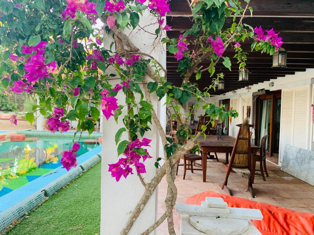 Bed and Breakfast Ibiza Paradise Санта-Эулалия-дель-Рио Экстерьер фото
